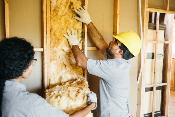 Best Attic Insulation Installation  in Garrett, IN
