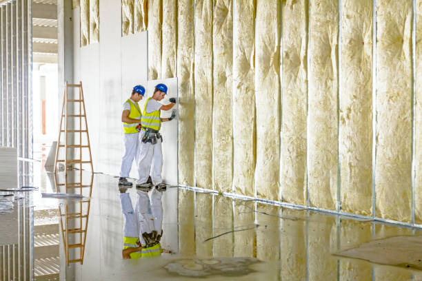 Best Blown-in Insulation  in Garrett, IN